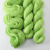 Allotment - Miss Babs Yummy 2-Ply superwash Merino wool yarn