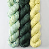 Aloe Vera, Dunk, and Lacewing - Miss Babs Yummy 2-Ply Trio