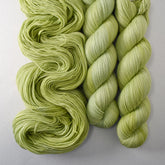 Archie - Miss Babs Avon yarn
