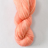 Aurora Rockfish - Miss Babs 2-Ply Toes yarn