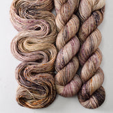 Autumn Glow - Miss Babs Estrellita yarn