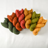 Autumn Lake - Miss Babs Gradient Set