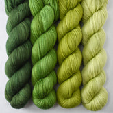 Beanstalk, Boxwood, Hops, and Iantha - Miss Babs Caroline Quartet