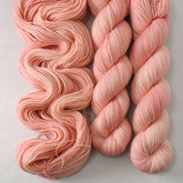 Beauty Awaits - Miss Babs Yummy 2-Ply yarn