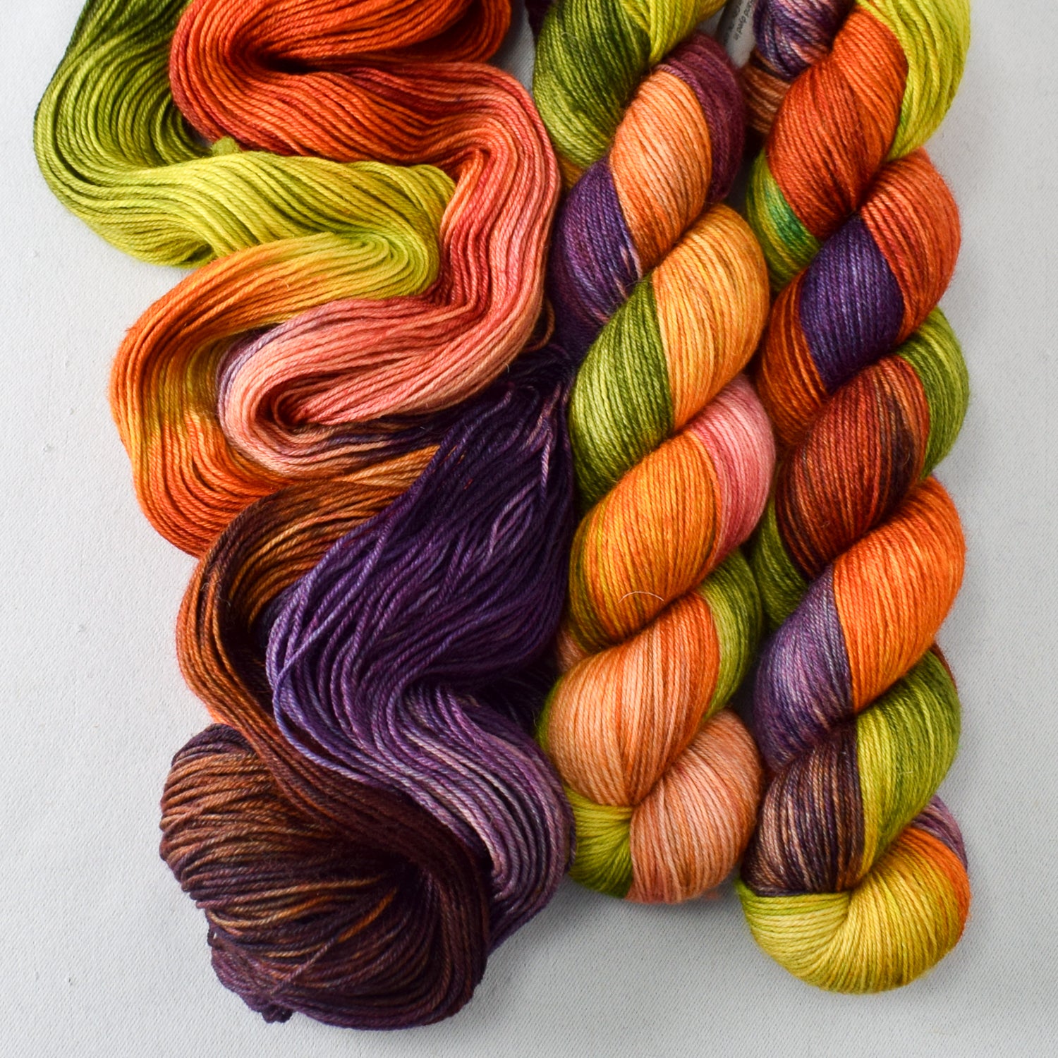 Birthday Gift - Miss Babs Katahdin 437 superwash BFL wool yarn