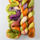 Birthday Gift - Miss Babs Yet yarn