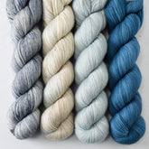 Blue Heron, Eastern Bluebird, Oak Moss, and Dolphin Dive - Miss Babs Avon Quartet