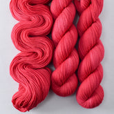 Caribbean Flamingo - Miss Babs Putnam Merino wool and nylon sock yarn