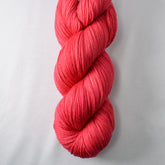 Caribbean Flamingo - Miss Babs Yowza yarn