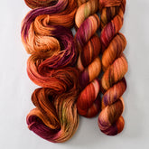 Catskills Hike - Miss Babs Yet yarn