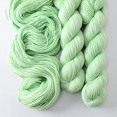 Cattitude - Miss Babs Yummy 2-Ply superwash Merino wool yarn