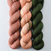 Chimayo, Rosy Finch, Nori - Miss Babs Yummy 2-Ply Trio