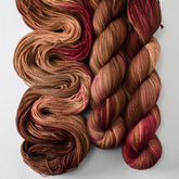 Chocolate Roses - Miss Babs Putnam Merino wool and nylon sock yarn