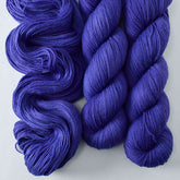 Clematis - Miss Babs Putnam Merino wool and nylon sock yarn