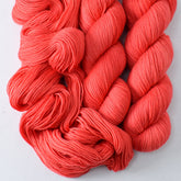 Coral - Miss Babs Laurel Falls Shaniko Merino wool yarn