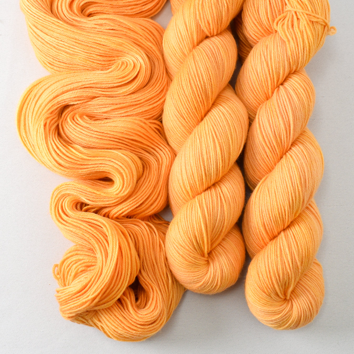Coreopsis - Miss Babs Putnam yarn