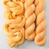 Coreopsis - Miss Babs Tarte wool blend sock yarn