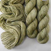 Coriander - Miss Babs Laurel Falls yarn