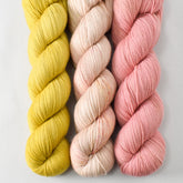 Cumin, Golden Anniversary, and Adobe - Miss Babs Avon Trio