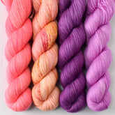 Dahlia, Devoted Idea, Boysenberry, and Ergosphere - Miss Babs Tarte Quartet