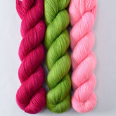 Cassiopeia, Yo Mama, and Cat's Meow - Miss Babs Yummy 2-Ply Trio