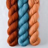 Dark Cygnus, Sadalmelik, and Big Sur - Miss Babs Yummy 2-Ply Trio