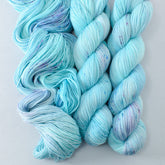 Defender of the Snax - Miss Babs Tarte wool blend sock yarn