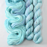 Defender of the Snax - Miss Babs Yowza Mini superwash Merino wool yarn