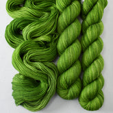 Dragon's Flight - Miss Babs Katahdin 437 superwash BFL wool yarn