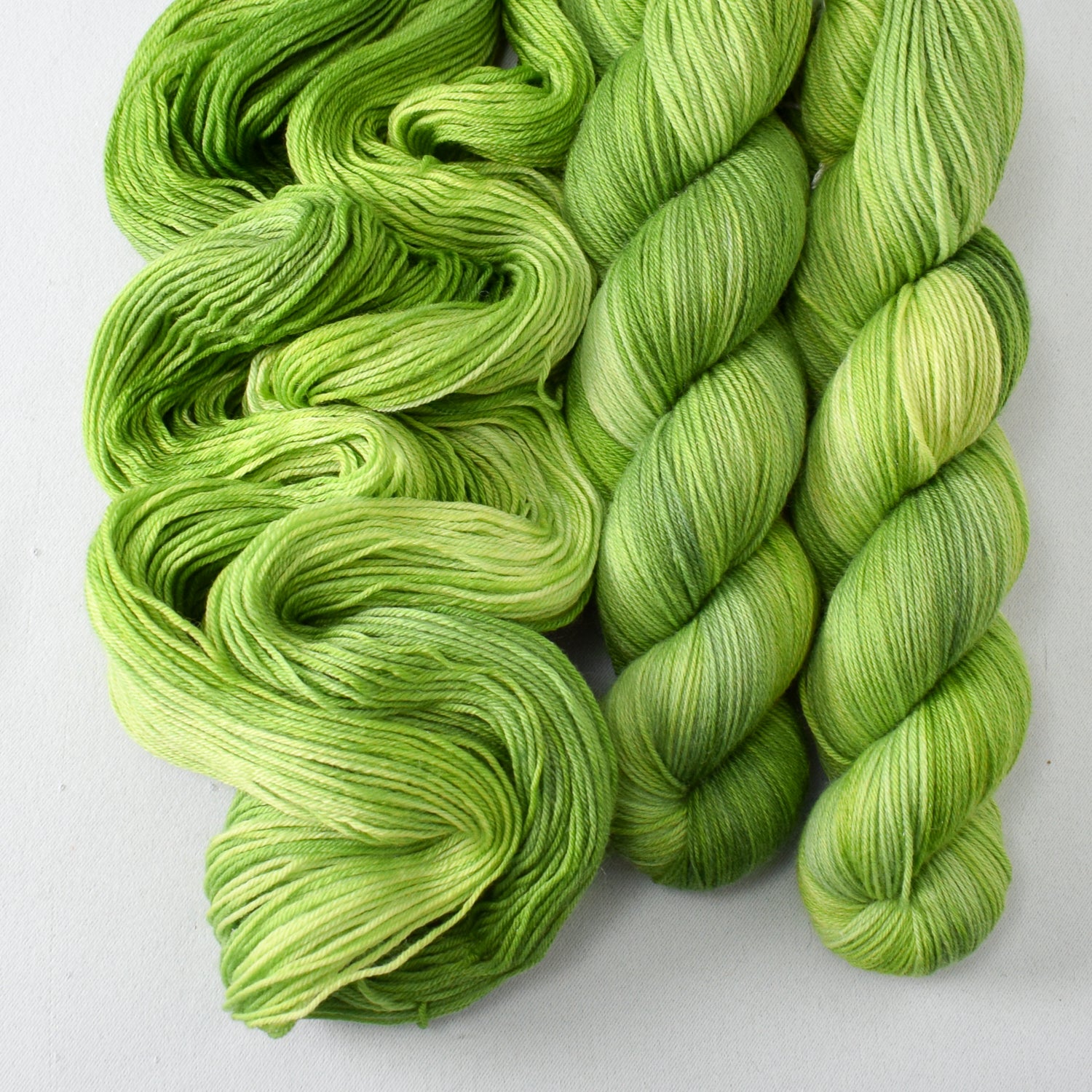 Dragon's Flight - Miss Babs Tarte wool blend sock yarn