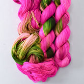 Drunken Watermelon - Miss Babs Putnam Merino wool and nylon sock yarn