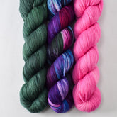 Dunk, Sans Souci, Caph - Miss Babs Caroline Trio