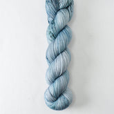 Echeveria - Miss Babs Yummy 2-Ply superwash Merino wool yarn