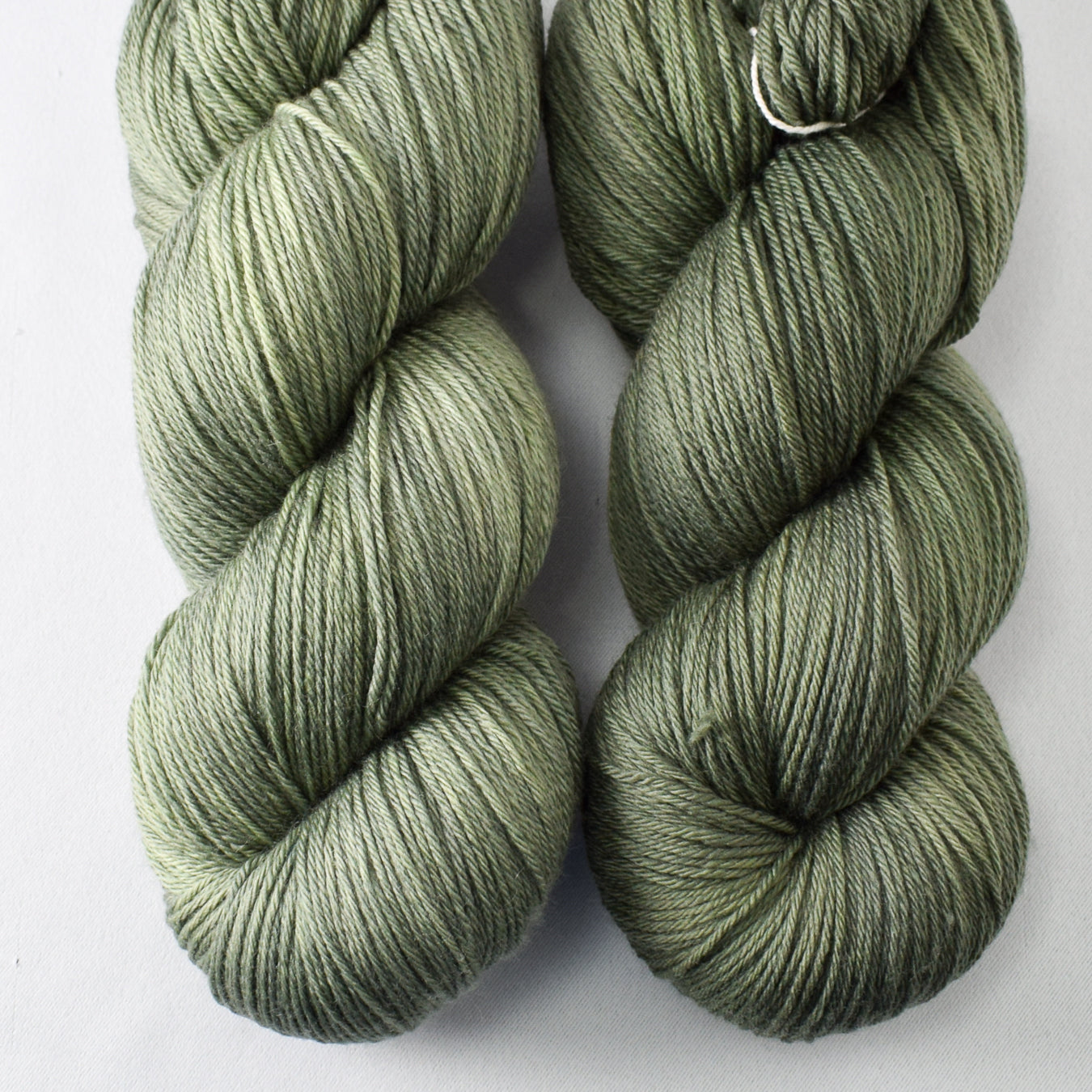 Elm Forest - Miss Babs Yowza yarn