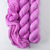 Ergosphere - Miss Babs Tarte wool blend sock yarn