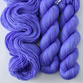 Exotica - Miss Babs Yummy 2-Ply superwash Merino wool yarn