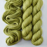 Fiddlehead - Miss Babs K2 chunky merino wool yarn