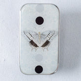 Firefly Notes Blue Butterfly Notions Tin - Small - Miss Babs Notions