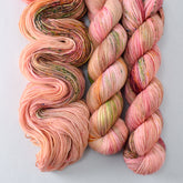 Flower Boxes - Miss Babs Yummy 2-Ply superwash Merino wool yarn