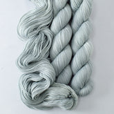 Fogbound - Miss Babs Putnam Merino wool and nylon sock yarn