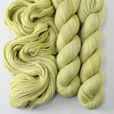 Frog Belly - Miss Babs Caroline merino-cashmere-nylon yarn