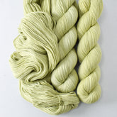 Frog Belly - Miss Babs Putnam Merino wool and nylon sock yarn