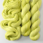 Ginkgo - Miss Babs Tarte wool blend sock yarn