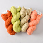 Gnandad's Adventure Set: Torchbearer, Goldfinch, Sandbank, and Warm Sienna - Miss Babs Toe Quartet