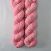 Greater Flamingo - Yummy 2-Ply