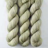 Ground Anise - Miss Babs Yummy 2-Ply superwash Merino wool yarn
