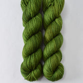 Herbalist - Miss Babs K2 yarn