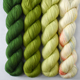 Herbalist, Rhizome, Goldfinch, and Fearless - Miss Babs Yummy 2-Ply Quartet
