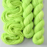 Hijinx - Miss Babs Estrellita yarn