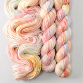 Hitchhiker's Birthday - Miss Babs Yowza Mini superwash Merino wool yarn